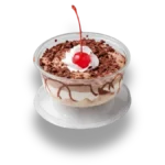 Copa Veneciana